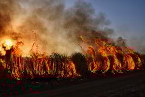 wildfire-7085630_640